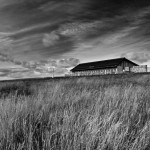 Whitelee Windfarm